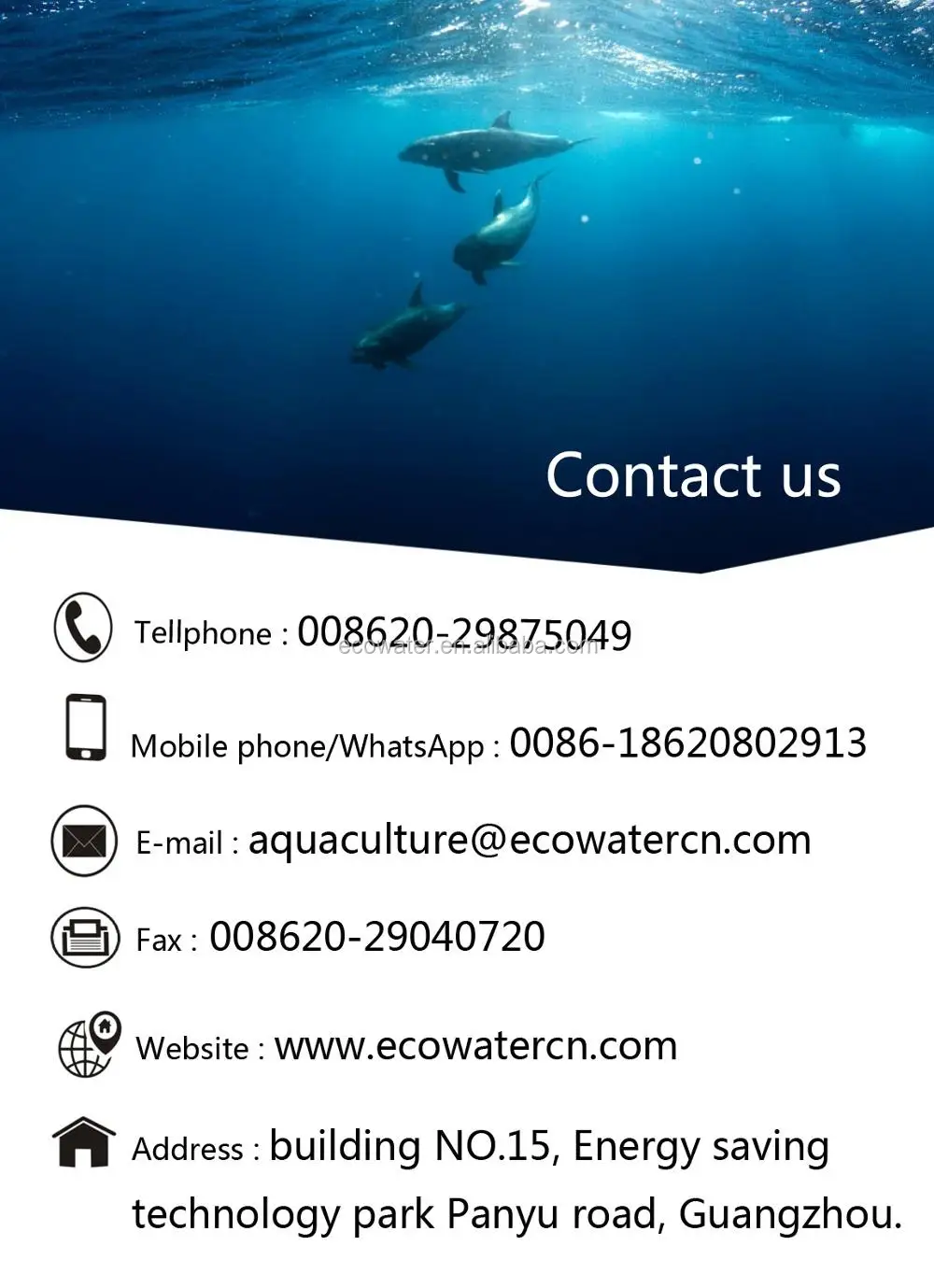CONTACT