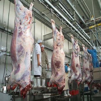 abattoir slaughterhouse cattle equipment machine halal pig carcass slaughter farm hog deboning beef line alibaba animal cow butcher farming larger