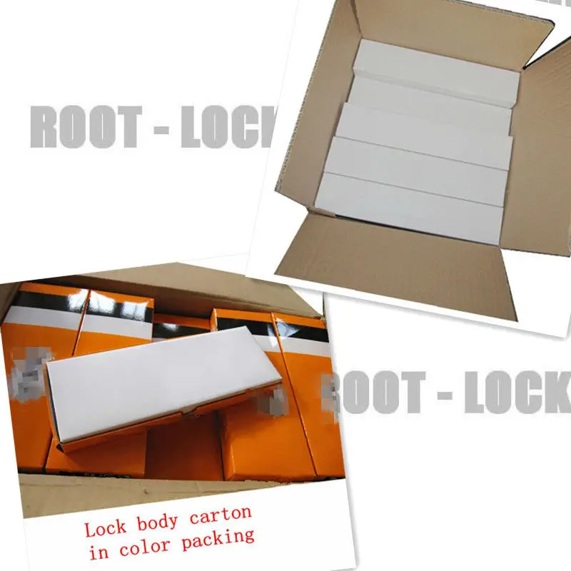 LOCK BODY CARTON_.jpg