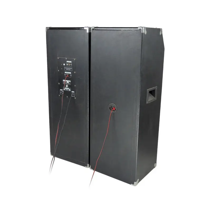 Creative Product Big 2 10 Inch Live Sound Subwoofer Outdoor Sound