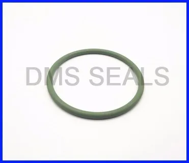 product-high temperature resistance FKM FPM rubber o ring with vulcanization-DMS Seal Manufacturer-i