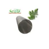 High Tensile Plain Steel Wire Mesh and Black Wire Cloth and Mild Steel Netting