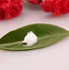 OEM /ODM White face/pale spot/ tender skin/shrink pores/anti-wrinkle/ anti-aging,/prevent aller face cream