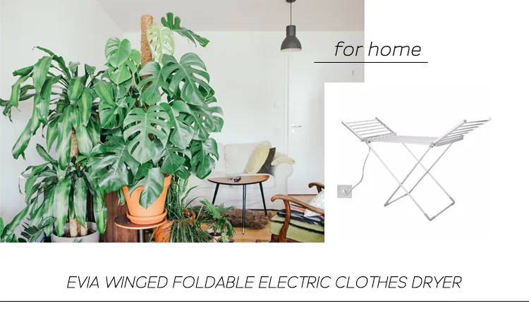 electric clothes dryer
