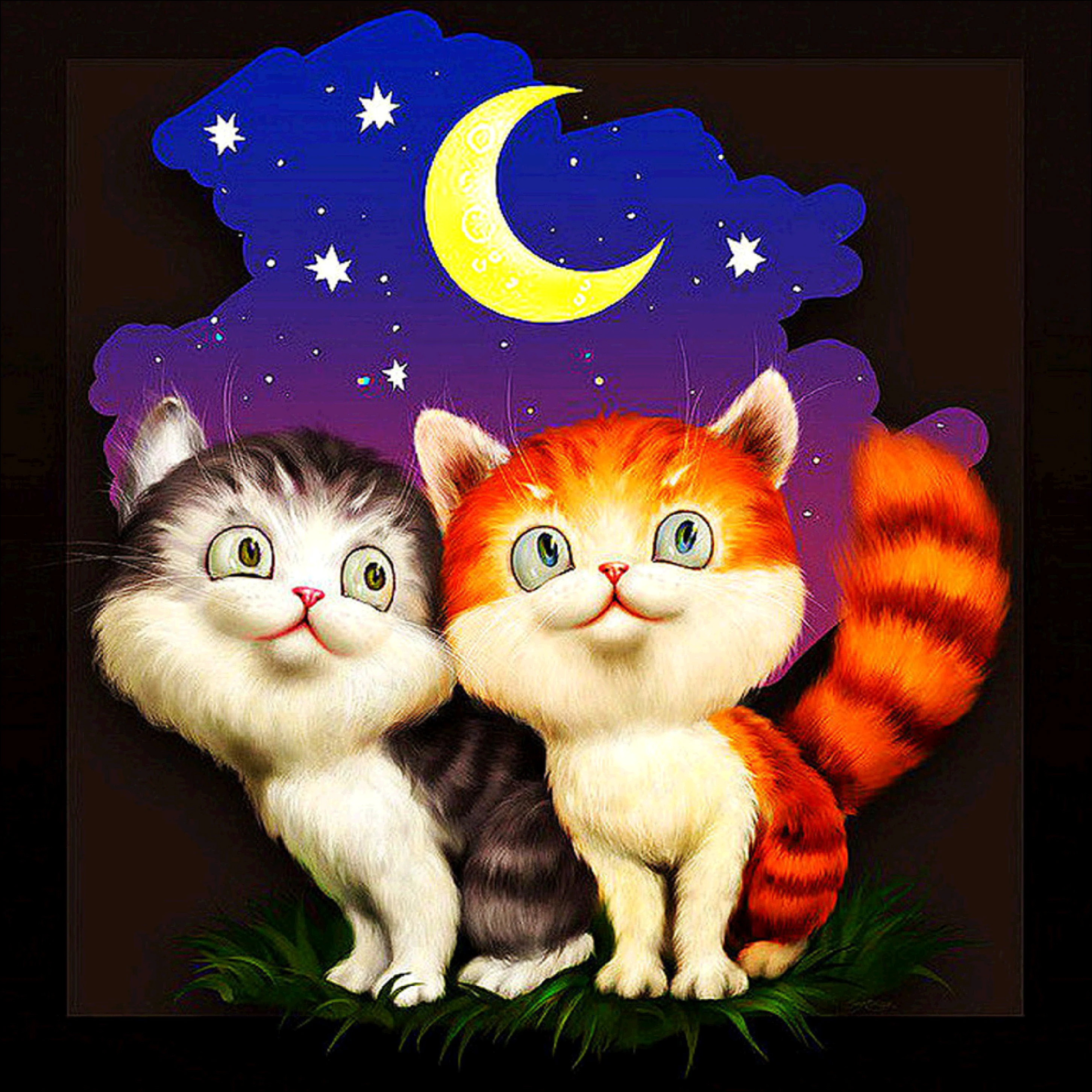 Картинки с кошками пожелания. Открытки спокойной ночи. Доброго вечера и спокойной ночи. Доброго вечера и спокойной н. Открытка «котики».