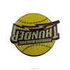 Thunder Enamel Lapel Pins Make Custom Logo Metal