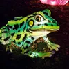Chinese lantern festival Outdoor Chinese Animal Frog lantern