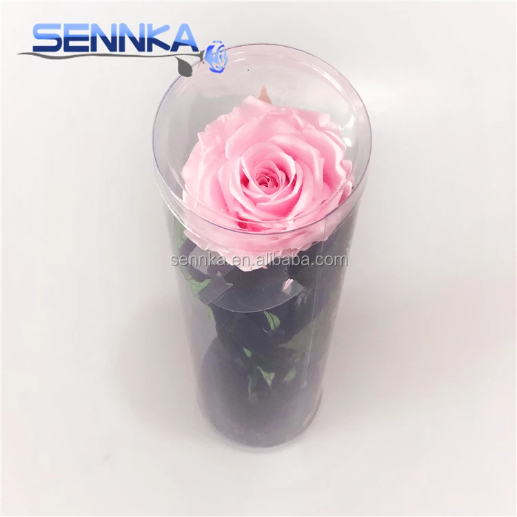 Fresh Produce Mexico Long Stem Pink Flowers Real Touch Rose Flowers