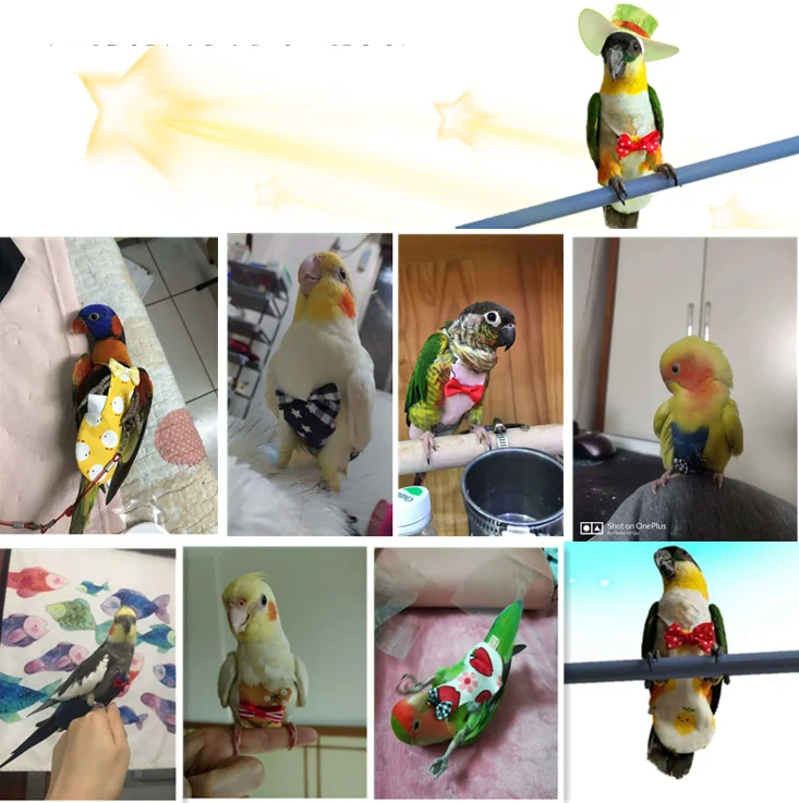Bird Diaper/Nappies/Flight Suit Washable for Small to Large Parrot Denim M 