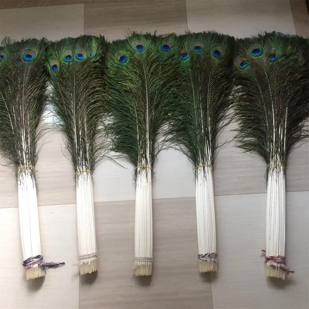 peacock feathers for sale