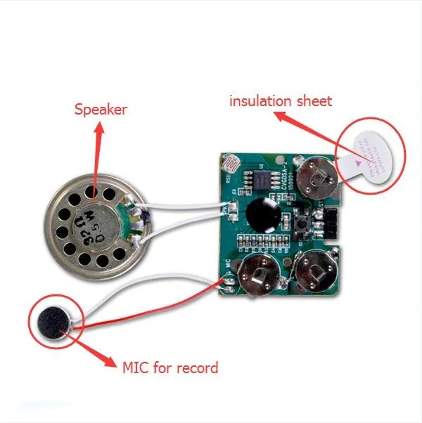 audio recorder mac chip