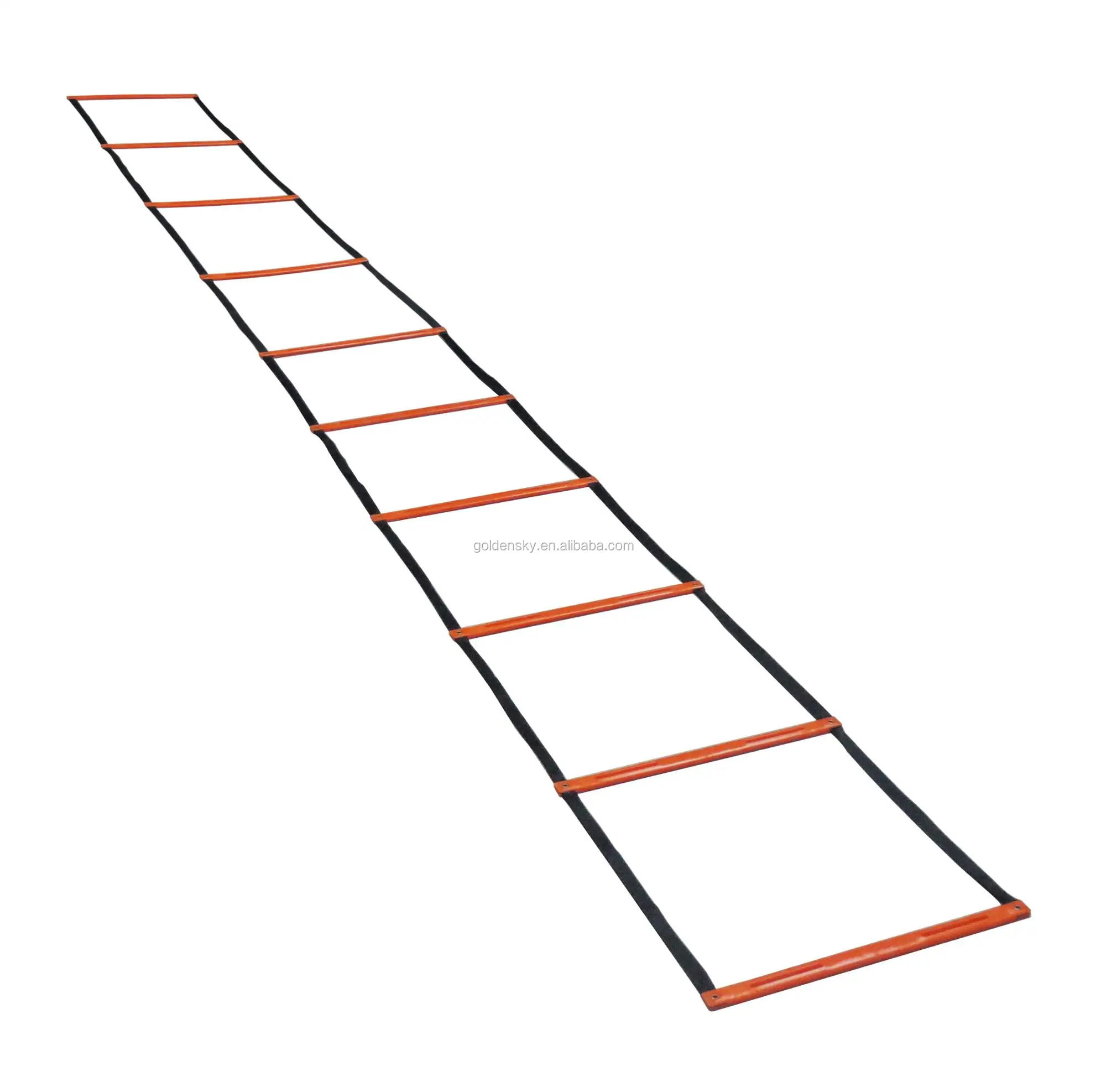ladder-10.jpg