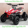 Fashion Design Pull Start Petrol Mini Motorcycle 49CC ATV for Sale Cheap