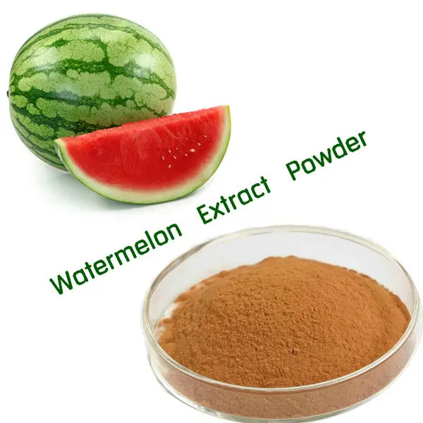 食品级 100% 西瓜粉