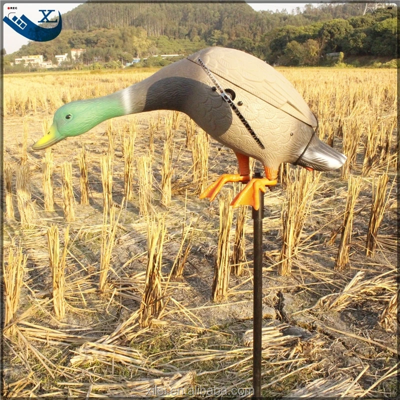 Xilei Wholesale Spain Hunting Duck Decoys Remote Control 6v Mallard