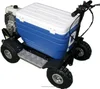 Hot sale 48L Cooler Scooter/BBQ carry Carts/EPA Refrigerator scooter (TKS-S43)