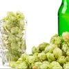 Beer Hops Pellet Lupulus Beer Extract Xanthohumol