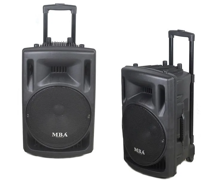 portable wireless microphone and speaker