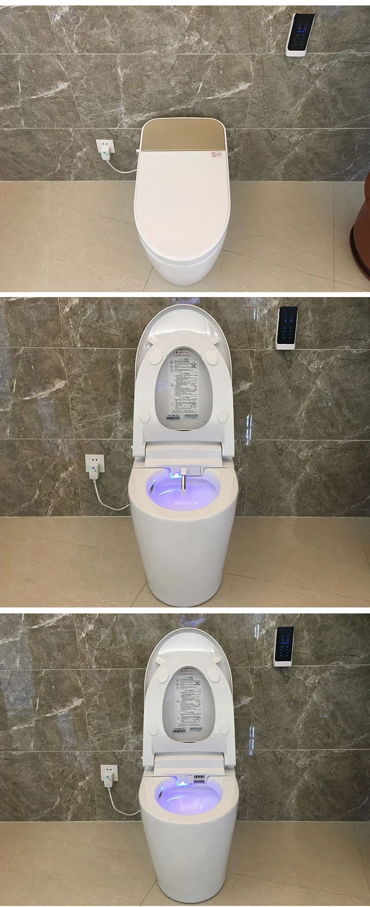 Intelligent automatic flushing toilet with bidet function