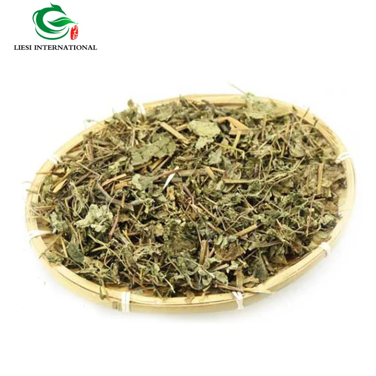 Xi Xian Cao Tea Siegesbeckiae Buy Xi Xian Cao Tea,Xi Xian Cao