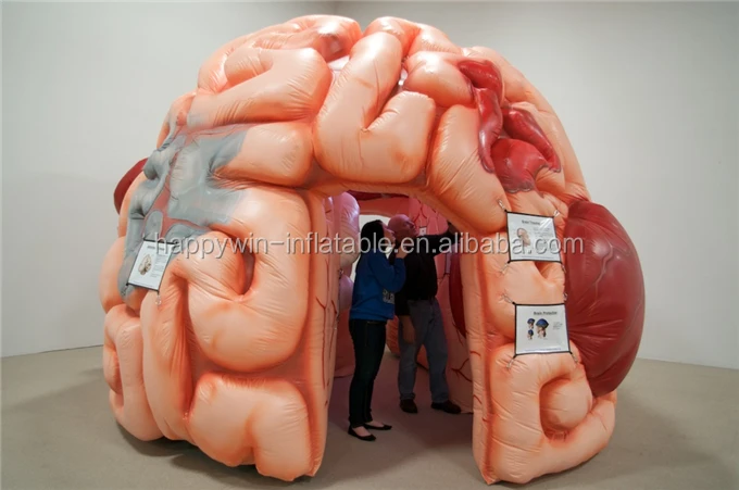inflatable brain6.jpg