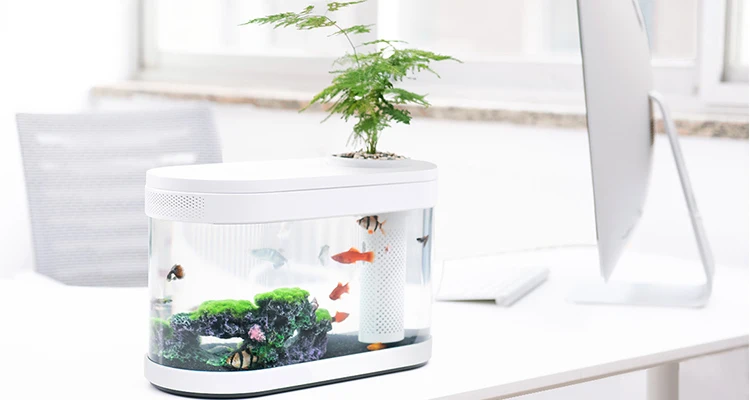 Xiaomi geometry fish tank aquaponics 