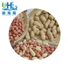 Raw Shandong peanut in shell can use peanut making machine