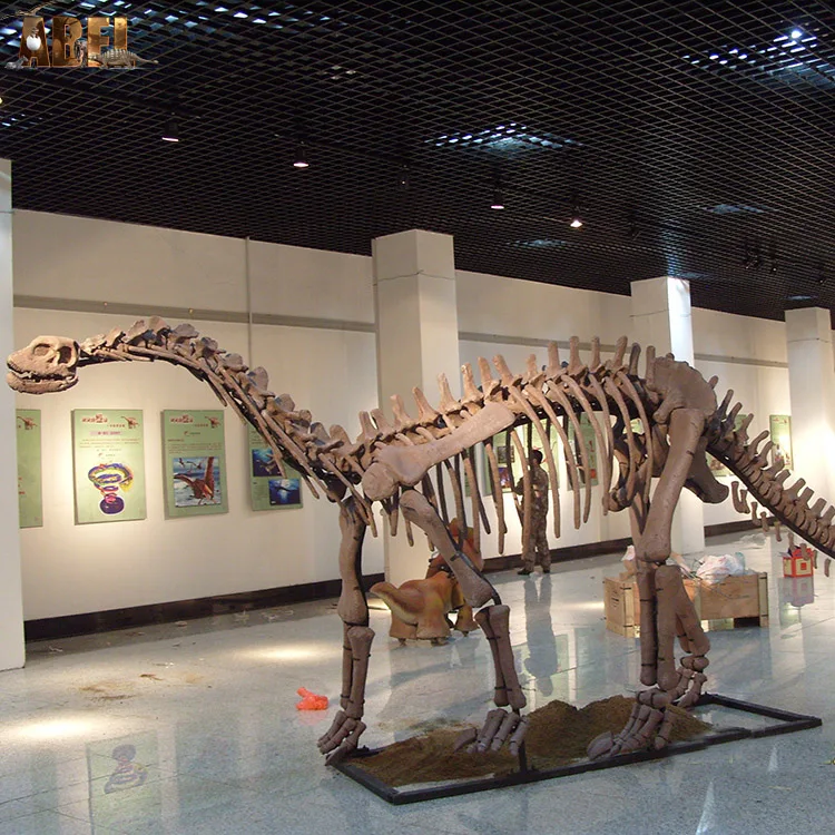 Decorative simulation model dinosaur skeleton