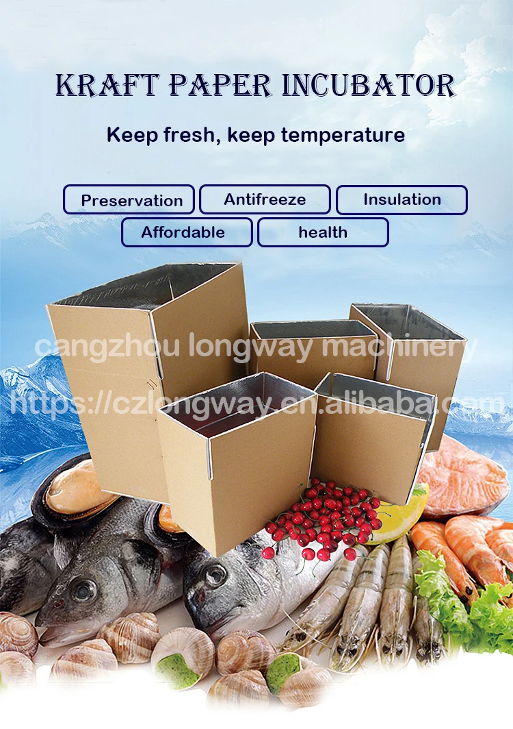 Insulated Freezer Container Fresh Fish Packaging Box For Delivery