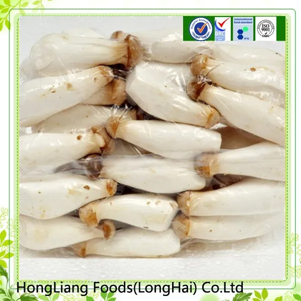 middle size fresh king oyster mushroom spawn