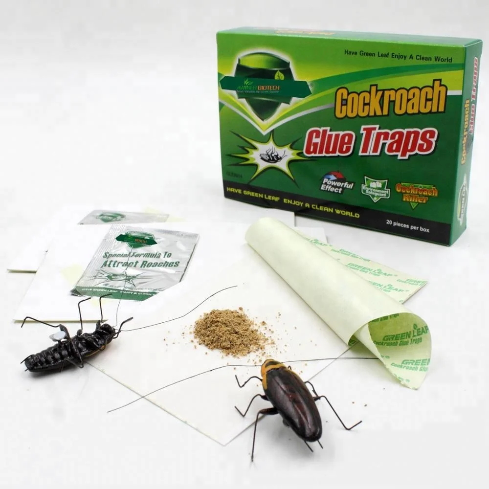 Roach için kara yemi. Roach yakalamak özellikleri Roach için kara yemi. Roach yakalamak özellikleri