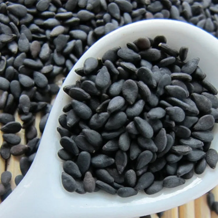 Factory Wholesale High Quality And Low Price Sesame Seeds For Import