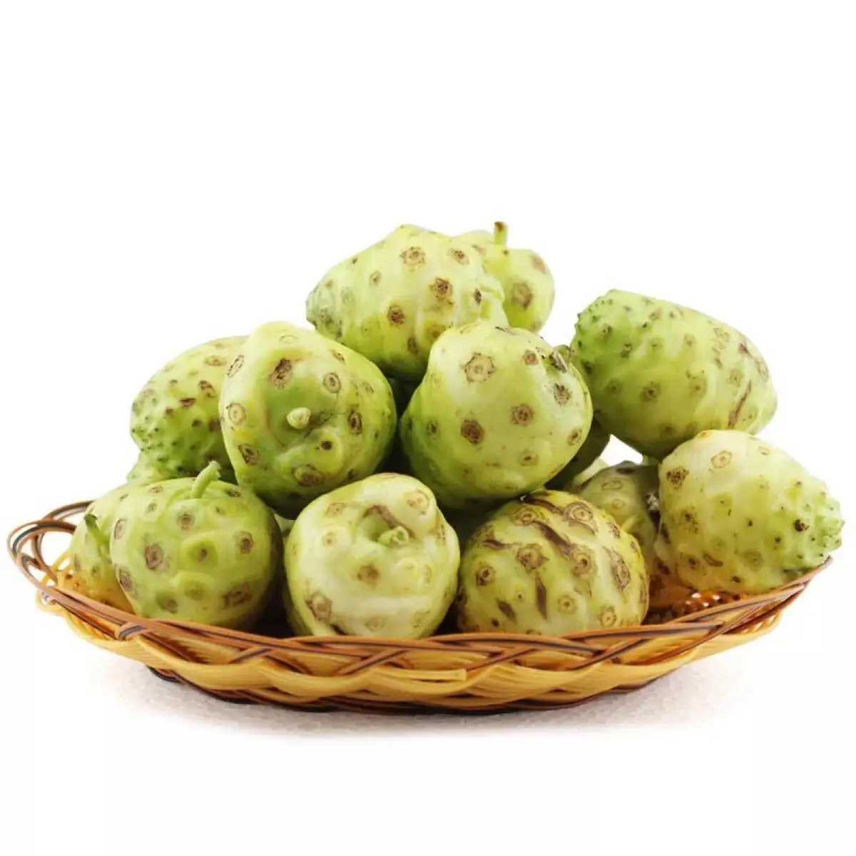 best price organic noni fruit powder