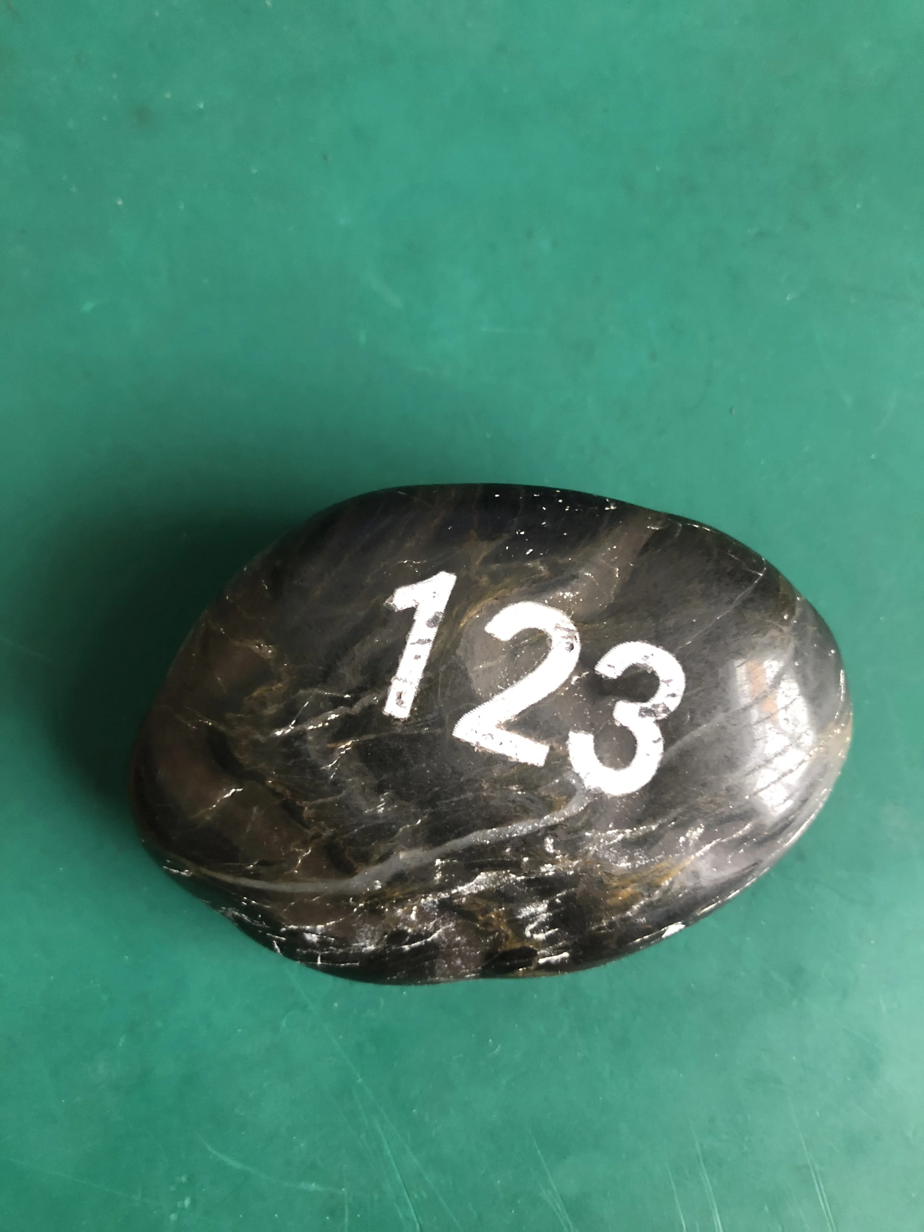 20190311110026 (4).jpg