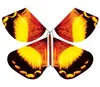 Magic Butterfly Toy Decompression Fighter Toy