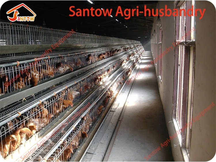 Download Design 5000 10000 20000 Birds Automatic Poultry House ...