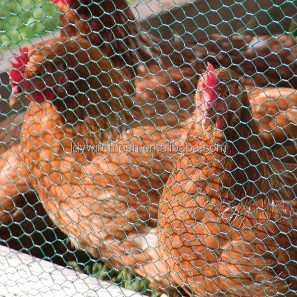 Kenya Chicken Coop Netting/chicken Coop Wire Mesh Specifications