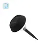 lawn path solar garden spike light outdoor landscape yard