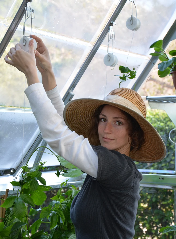 trellising_kit_model_B.jpg
