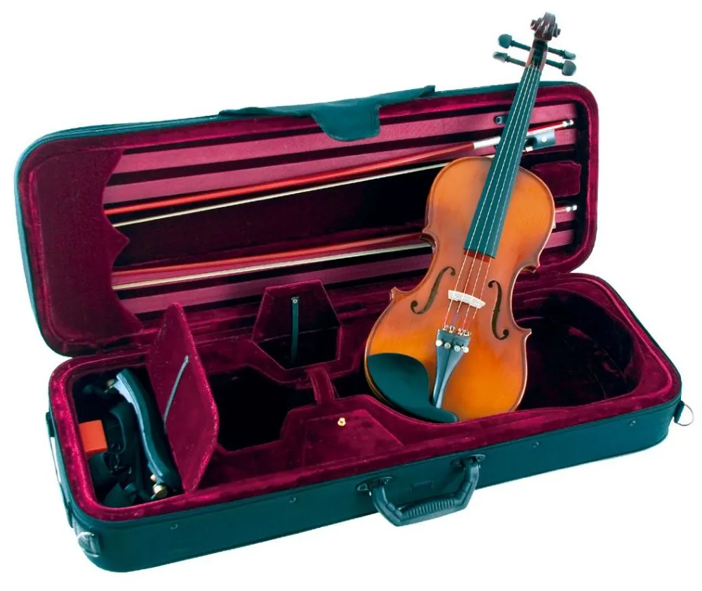 11Violin Case (5).jpg