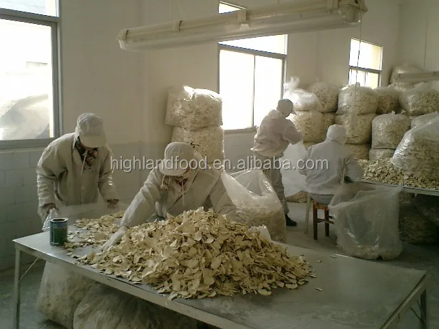 horseradish selecting.jpg