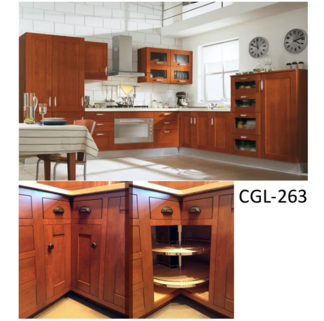 CGL-263-1.png
