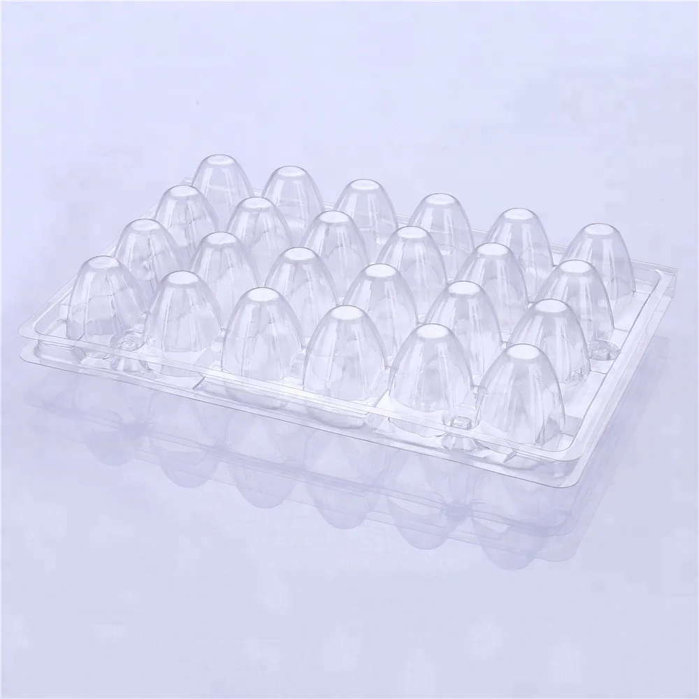 24 Holes Plastic Quail Egg Tray Best Selling Wholesale Factory Price