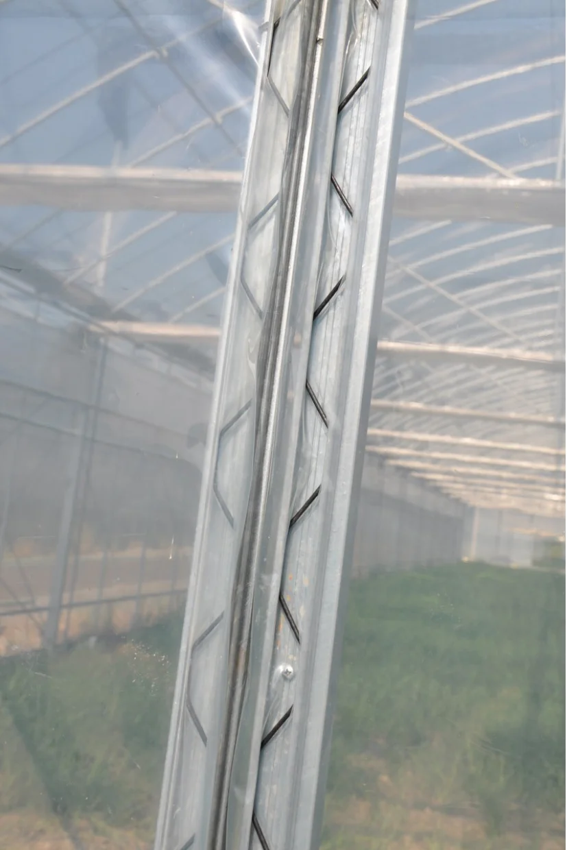 Plastic Coated Wiggle Wire Film Lock For Greenhouse/ Greenhouse Film