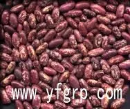 foodzhan006724154256788_conew1