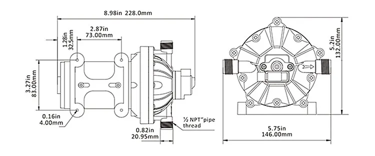 SEAFLO  Up to 5.0 GPM Water Pump 12 Volt For Car Washing