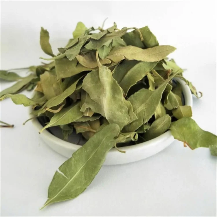 Chinese Natural Apocynum venetum leaf /bluish dogbane leaf /kender leaf tea on sales - 4uTea | 4uTea.com