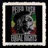 Aprise - Peter Tosh Equal Rights hotfix Rhineston heat Transfers iron on