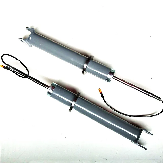 Suspension Part With Pasm Electric Suspension System For 911 Carrera