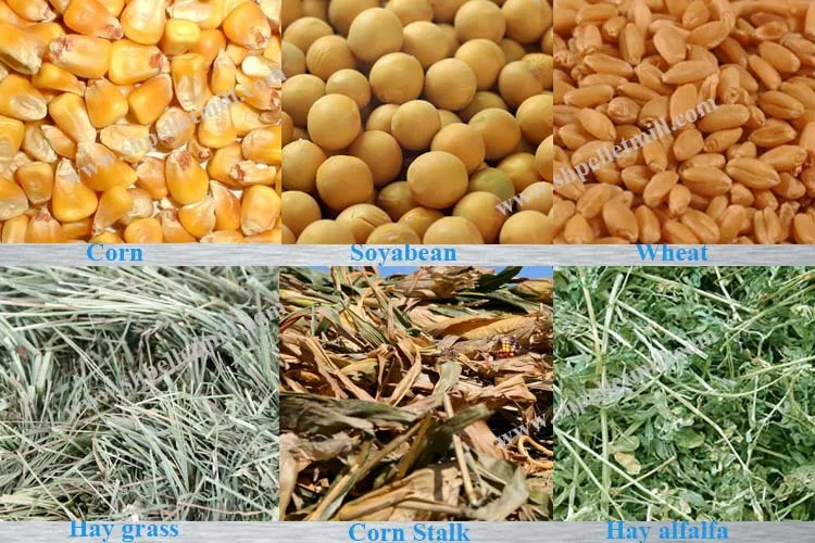 Hot sale ring die bird feed pellet making machine with price